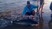 UTC Surf Fishing - Matthew White