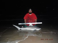 Team Southern Sharkers - Eduardo Mejia