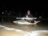 CatchSharks - Steven Kennedy