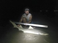 Tx Connection - Alex Bommer