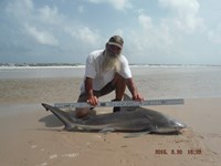 Team Southern Sharkers - David Tidwell