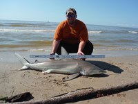 Team Southern Sharkers - Donnie Tidwell