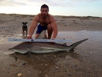 Keep It Reel - Kelley  O'Brien