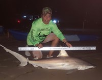 Southern Shark  Outcasts  - Cristina  Garza 