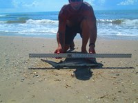 Keep It Reel - Ron Richmond