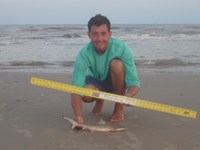 Sharkaholics - Zach Crain