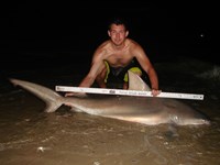 Sharkaholics - Zach Crain