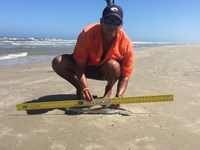 El Pescador - Tomas Barriga