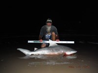 Team Southern Sharkers - David Tidwell