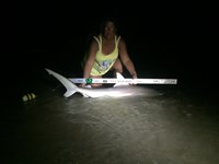 Team JackWagon - Kimberly Collier