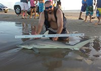 Southern Shark  Outcasts  - Jesse Garza