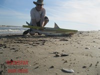 Team Rockstar - Scott Nelson