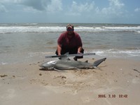 Team Southern Sharkers - Donnie Tidwell