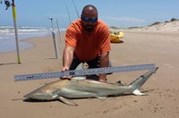 Southern Shark  Outcasts  - Jesse Garza