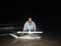 Team Southern Sharkers - Donnie Tidwell