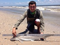 Sharkaholics - Zach Crain