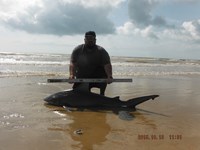 Team Southern Sharkers - Eduardo Mejia