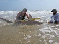 Team Rockstar - Dani Zirkel