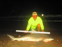 Keep It Reel - Ron Richmond