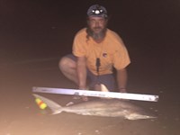 Morton saltwater fishing - Robert Morton