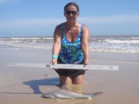 Sharkaholics - Randa Crain