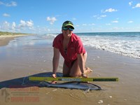 Team Rockstar - Dani Zirkel