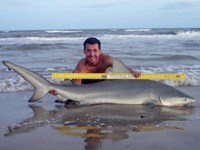 Sharkaholics - Zach Crain