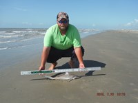 Team Southern Sharkers - Donnie Tidwell