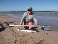 Reel Billies - Jessica Gardner-Sadosky