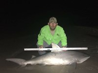 Down South Hook Setters - juan cisneros