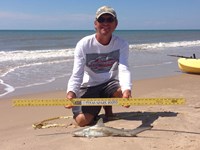 Sharkaholics - David Crain