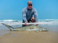 Fishing Locos - Mark Cano