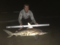 Team Voodoo - Cody Stark