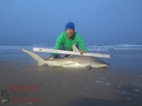 Team Rockstar - Eric Ozolins