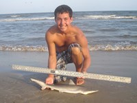 Sharkaholics - Zach Crain