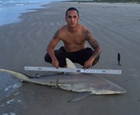 Controlled Chaos - Rey Contreras