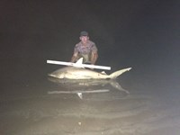 Team Southern Sharkers - Coulter Zabcik