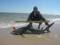 CatchSharks - Steven Kennedy