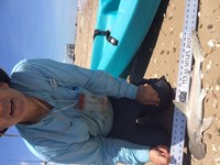 Sharknado - Jon Bunn