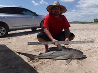 Stacking Gills - Jeremy  Counahan