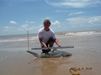 Team Southern Sharkers - Nick Johnson