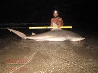 Team Rockstar - James Clark