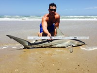 Keep It Reel - Kelley  O'Brien