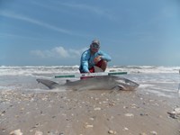 Keep It Reel - Joe  Garcia