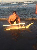 Hammerhead Mafia  - Ryan  dibble