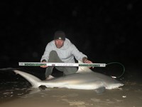 CatchSharks - Steven Kennedy