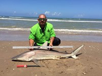 Down South Hook Setters - juan cisneros