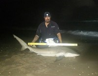 Down South Hook Setters - raul hernandez