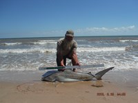 Team Southern Sharkers - David Tidwell