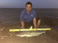 JETTYMAFIA  - Fedencio Pena